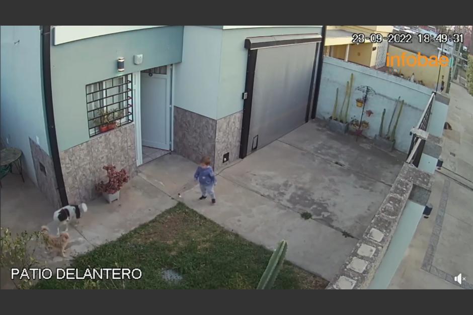 El peque&ntilde;o estaba jugando y pens&oacute; que era una buena idea ir a la calle. (Captura Video)