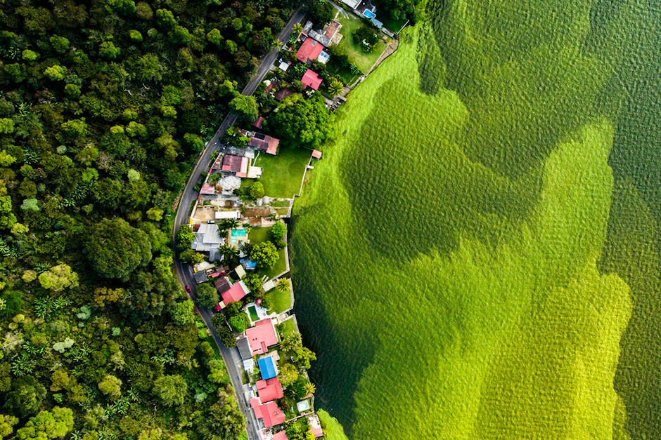 El fot&oacute;grafo de vida salvaje Daniel N&uacute;&ntilde;ez gan&oacute; una categor&iacute;a en concurso de Londres, Inglaterra. (Foto: Daniel N&uacute;&ntilde;ez/Wildlife Phortographer of the Year)