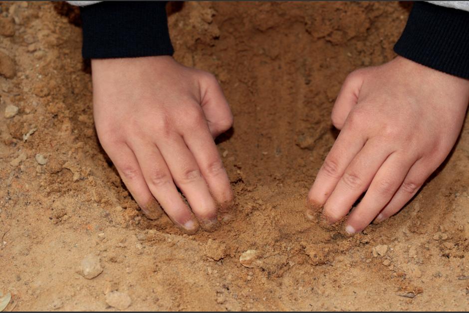 Los bomberos lograron rescatar al perro que estaba soterrado. (Foto: Ilustrativa/Shutterstock)&nbsp;