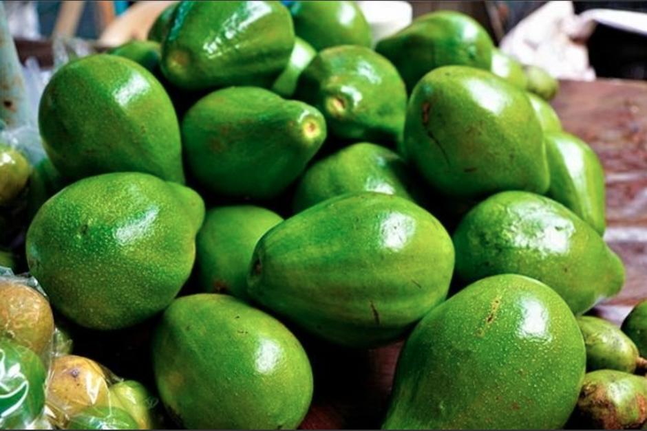 El aguacate de costa se perfila como potencial para ser exportado. (Foto: Plaza en vivo)