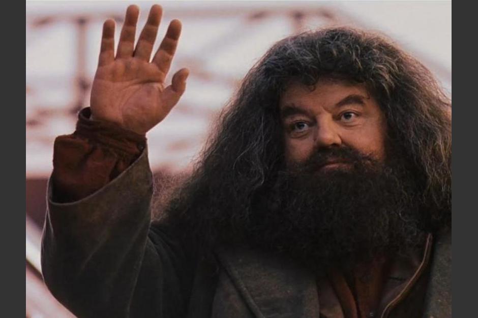 Robbie Coltrane interpretó a Hagrid en la famosa saga del mago Harry Potter. (Foto: RRSS)
