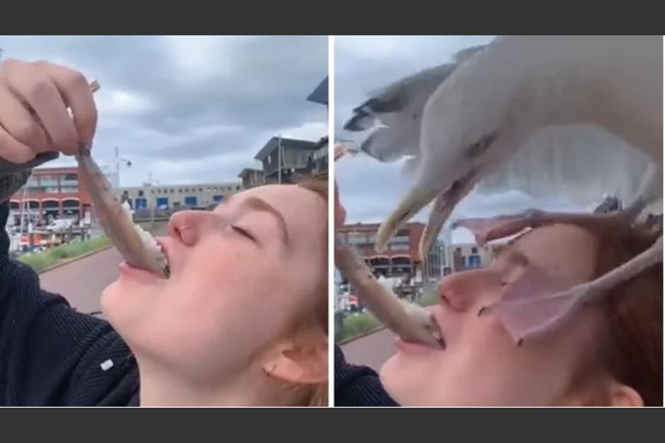 El ave le quita la comida la joven mientras ella se grababa. (Foto: captura de pantalla)