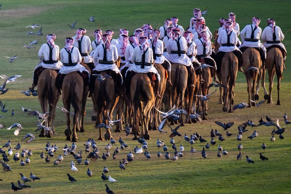 Camellos y camisetas; Qatar espera los beneficios tur&iacute;sticos del Mundial-2022. (Foto: AFP)&nbsp;