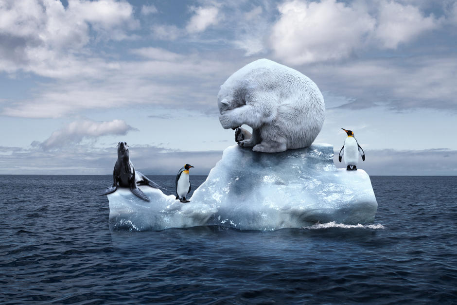 Varias capas de hielo sufren parte del calentamiento global. (Foto: Shutterstock)