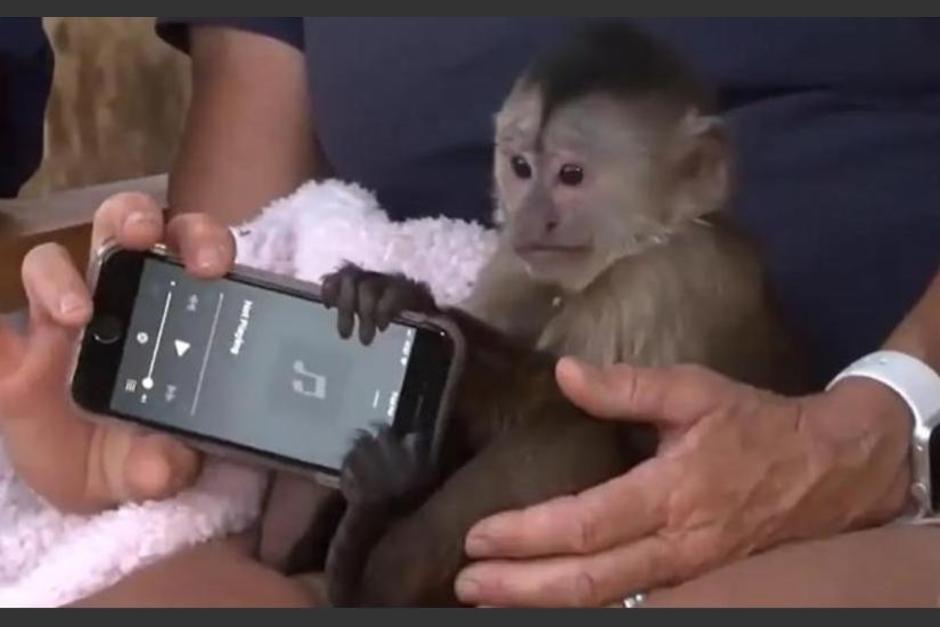 La polic&iacute;a de California recibi&oacute; una peculiar llamada desde el zool&oacute;gico. (Foto: captura de pantalla)&nbsp;
