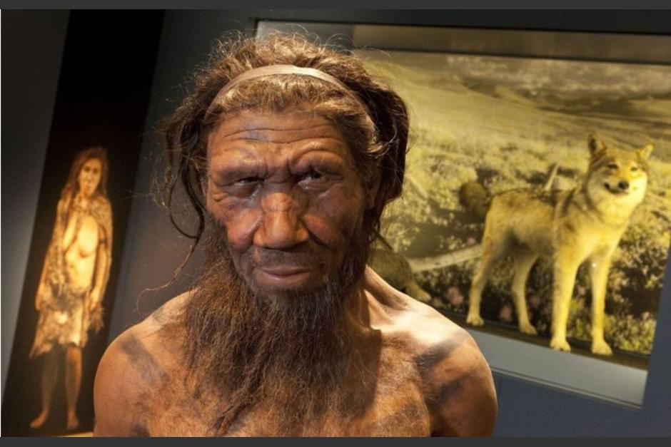 Los neandertales una especie que se extingui&oacute; hace 40,000 a&ntilde;os y han dejado rasgos similares al ser humano de ahora (Foto: Captura de pantalla)