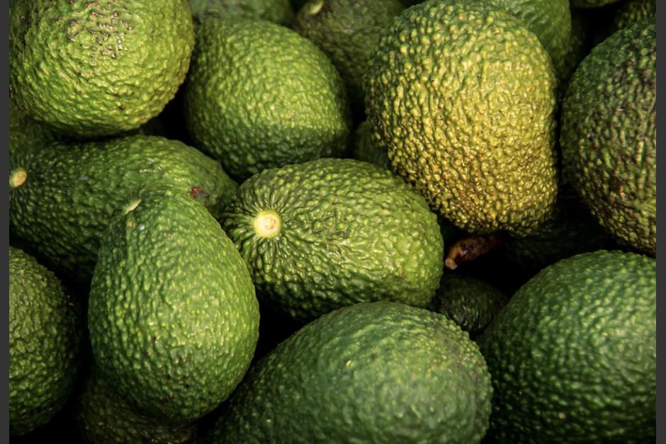 El aguacate Hass de Guatemala podría ser exportado a Estados Unidos. (Foto: Pixabay)