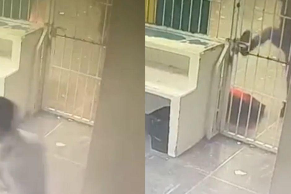 Varios migrantes fallecieron en un centro de detenci&oacute;n de M&eacute;xico por no pagar soborno. (Foto: Vice World News)