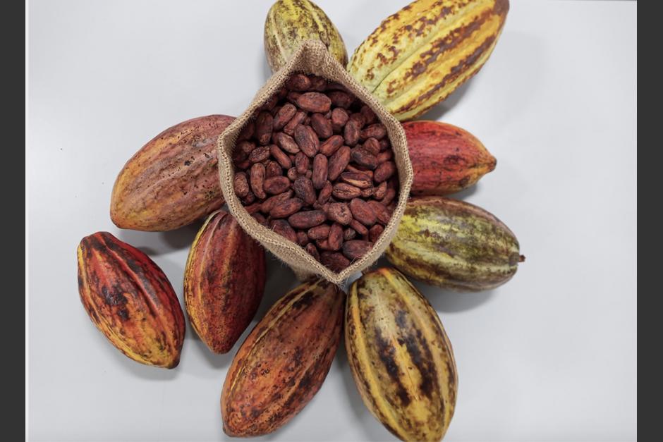 Guatemala produce uno de los mejores cacaos del mundo. (Foto: Heidi Loarca/Soy502)