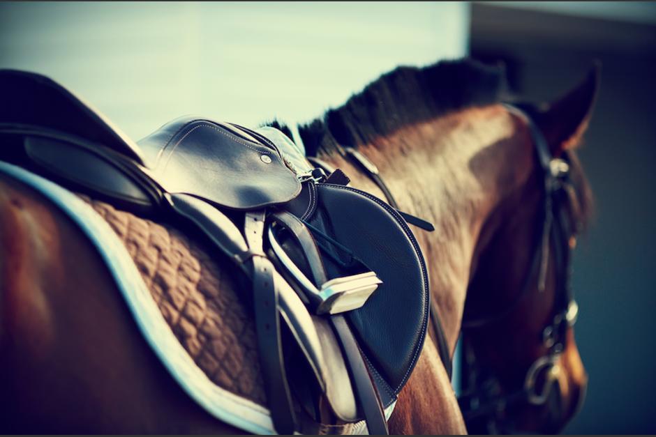 Un video muestra el momento en que dos personas montan un caballo para subir el Acatenango.&nbsp; (Foto: Ilustrativa/Shutterstock)&nbsp;