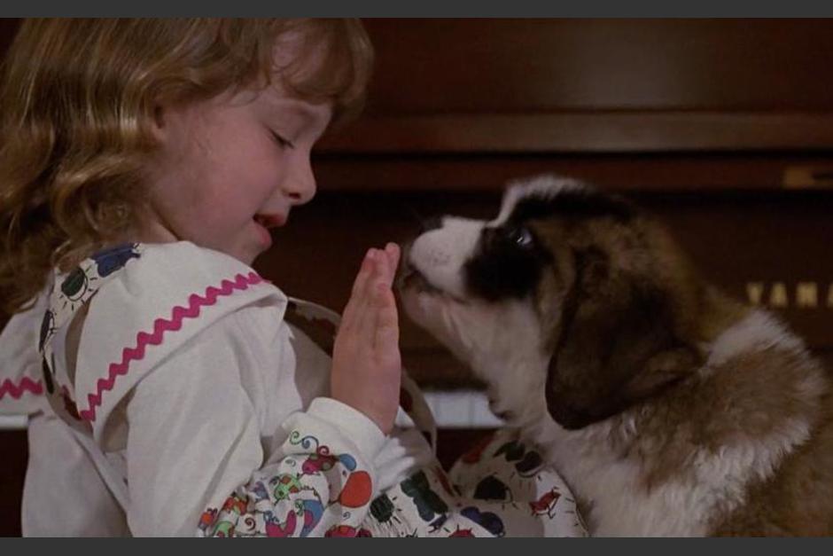 La incre&iacute;ble transformaci&oacute;n de Sara Rose Karr (Foto: Redes sociales)&nbsp;