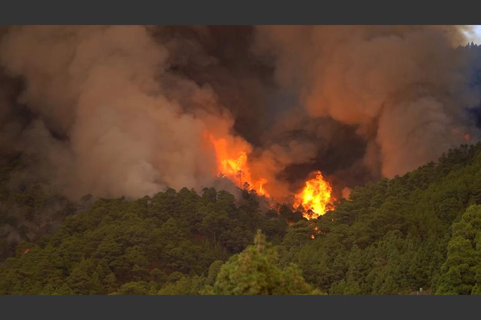 Unos 250 bomberos intentan apagar un incendio "fuera de control" en la isla espa&ntilde;ola de Tenerife.&nbsp;(Foto: Europa Press)
