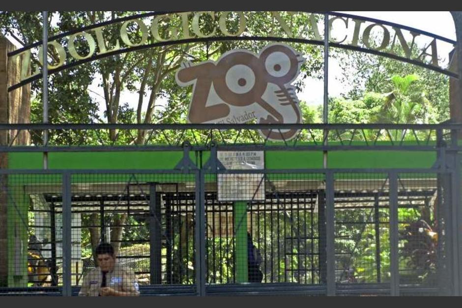 En mayo de 2022, Nayib Buleke ordenó el cierre definitivo del único zoológico en El Salvador. (Foto: elsalvador.com)