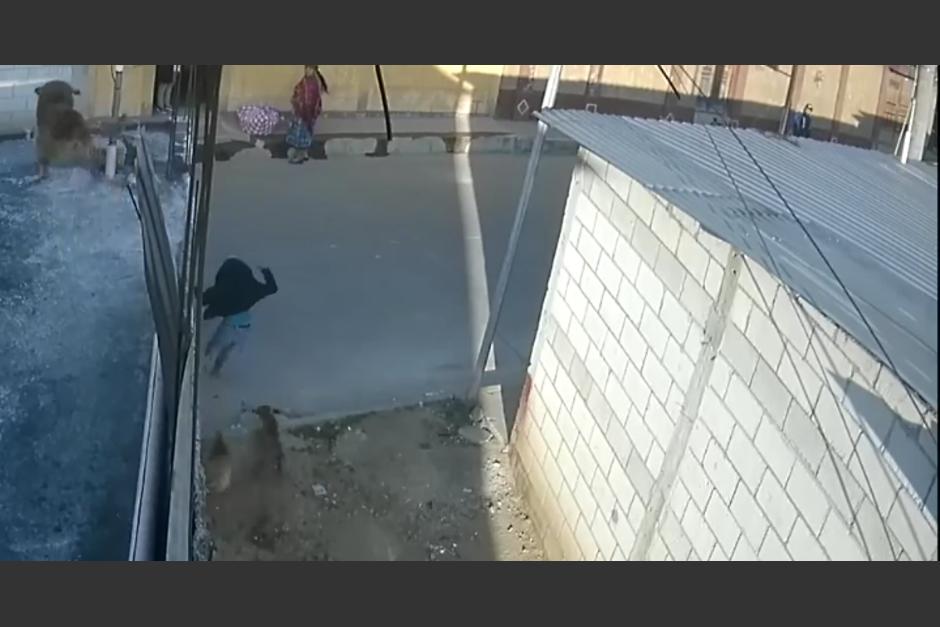 Un ni&ntilde;o fue atropellado cuando intentaba huir de una jaur&iacute;a que se encontraba en una calle de San Juan Comalapa, Chimaltenango. (Foto: captura de video)
