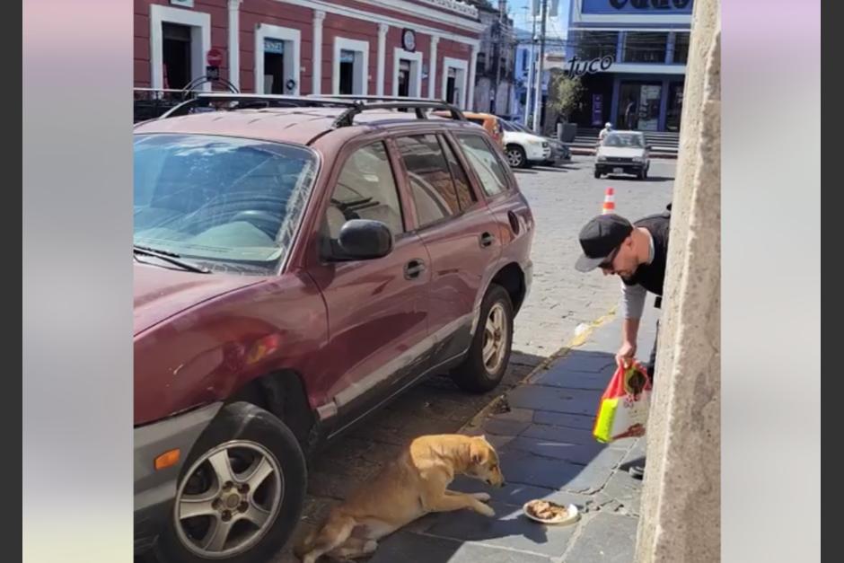 El youtuber estadounidense presumió su divertida experiencia alimentando perros de la calle en Xela. (Foto: captura de pantalla)&nbsp;