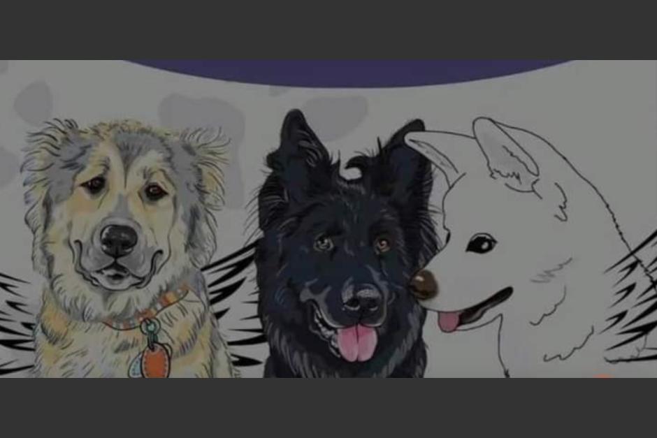 "Nucita, Loba y Negrito" fueron desenterrados para practicarles una necropsia. (Foto: redes sociales)&nbsp;