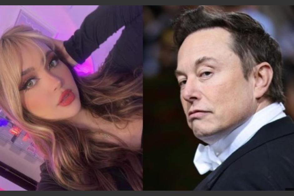 Elon Musk tuvo un gesto inesperado al comentar un video de la famosa streamer. (Foto: Redes sociales)