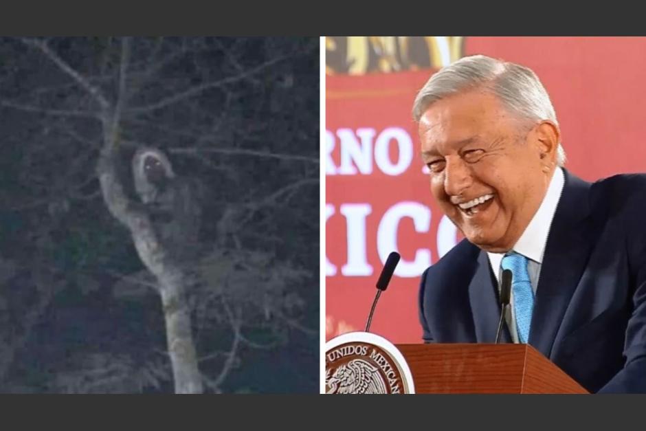 Una fotograf&iacute;a de un supuesto aluxe en el Tren Maya difundida por AMLO desat&oacute; un debate en redes sociales. (Foto: Infobae)