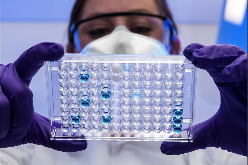 La OMS se encuentra investigando sobre el nuevo brote del virus de Marburgo. (Foto: Unsplash)