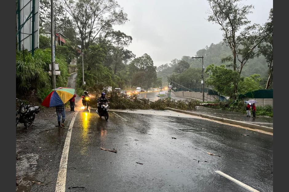 Fuertes lluvias, actividad eléctrica y caída de árboles la tarde de este lunes 10 de julio. (Foto: Bomberos Voluntarios)