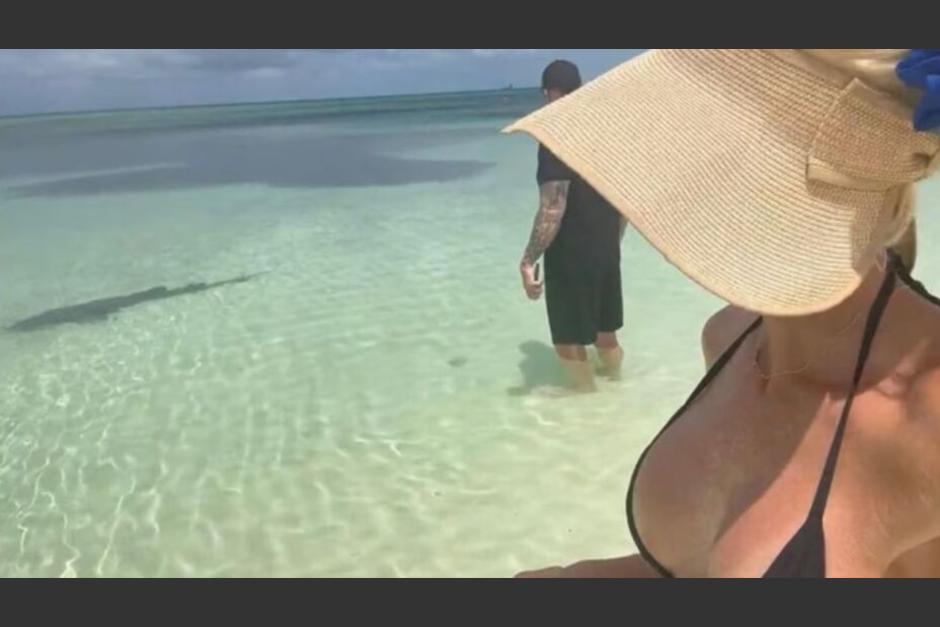 Undertaker intenta espantar un tibur&oacute;n para evitar que ataque a su esposa. (Foto: Especial)