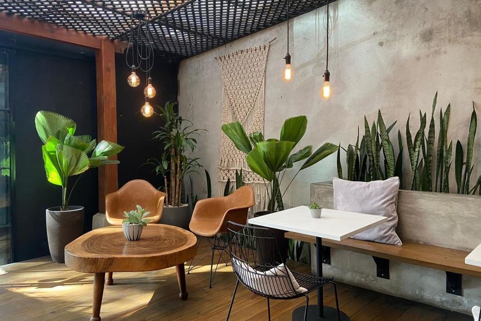 Su enfoque se centra en brindar apoyo a los pequeños productores de café en áreas rurales. (Foto:&nbsp;La Central del Café)