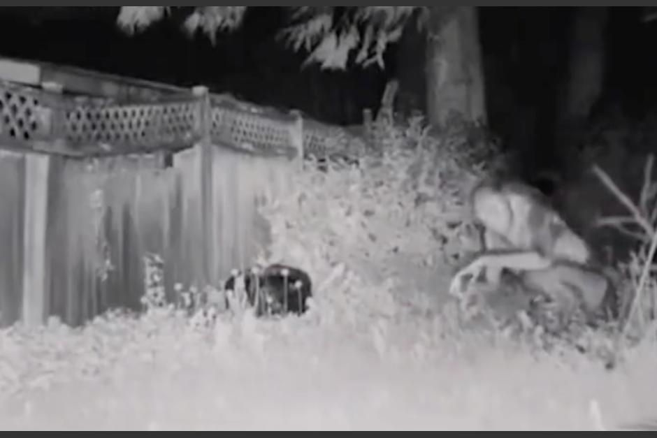 Video de supuesto alien en Estados Unidos. (Foto: Antena 3)