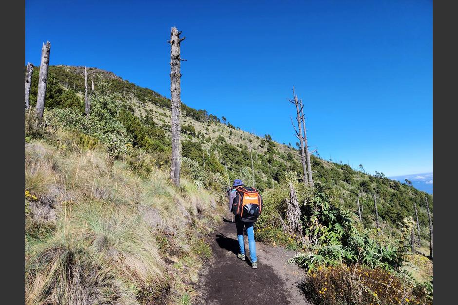 Los &aacute;rbitros se extraviaron mientras escalaban el volc&aacute;n Acatenango. (Foto: Dulce Rivera/Soy502)