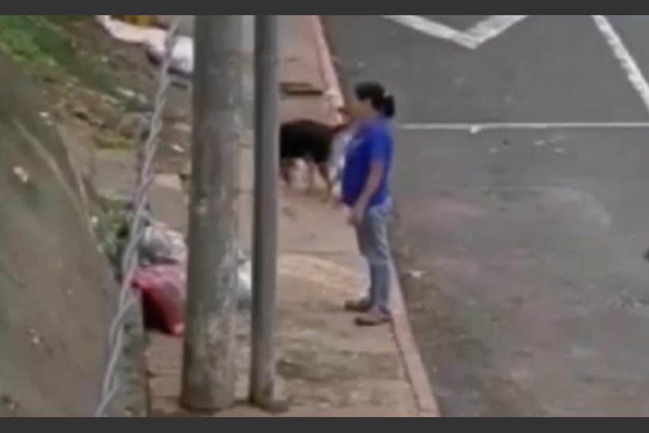 Una mujer se viraliz&oacute; por la reacci&oacute;n que tuvo al ser captada tirando basura en la calle. (Foto: captura de video)
