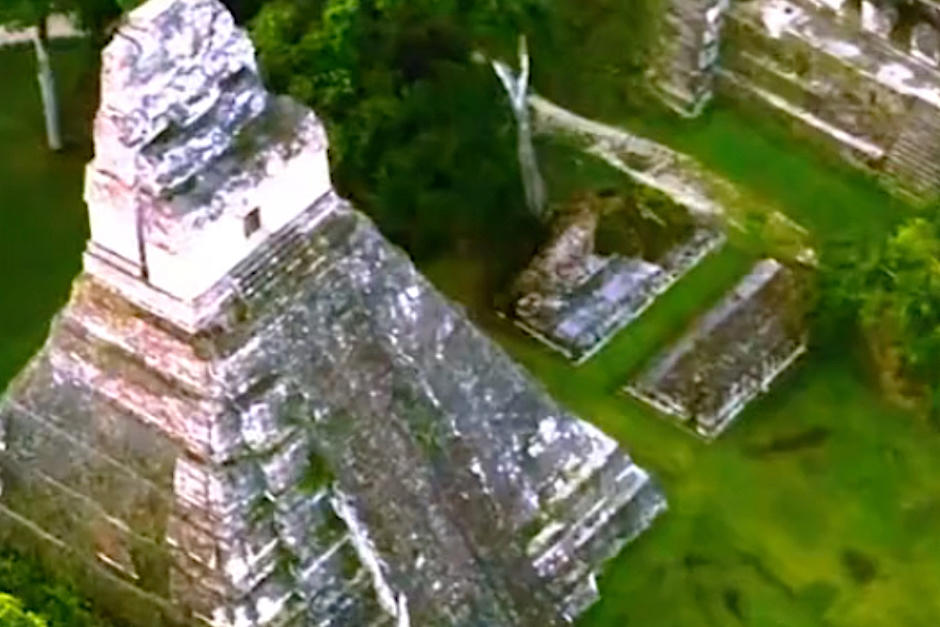 El conservacionista denunció que habría una tala de árboles dentro del Parque Nacional Tikal para una supuesta ampliación del camino peatonal. (Foto: Oficial)