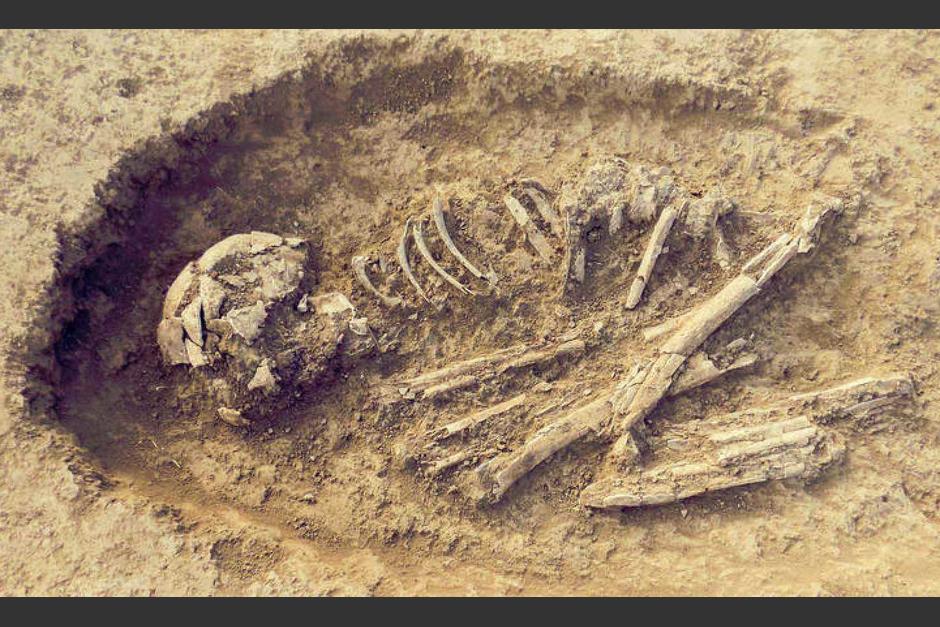 Se encontraron restos de un esqueleto humano en Brasil. (Foto: RTVE)