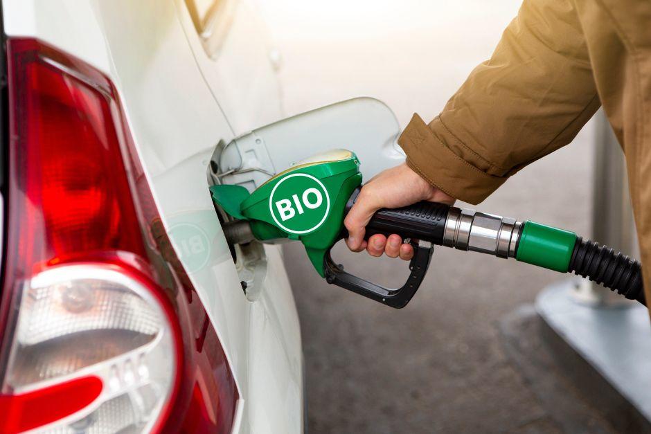 Guatemala debiera implementar el uso del Etanol en la gasolina a partir de enero del 2025. (Foto ilustrativa: Shutterstock)