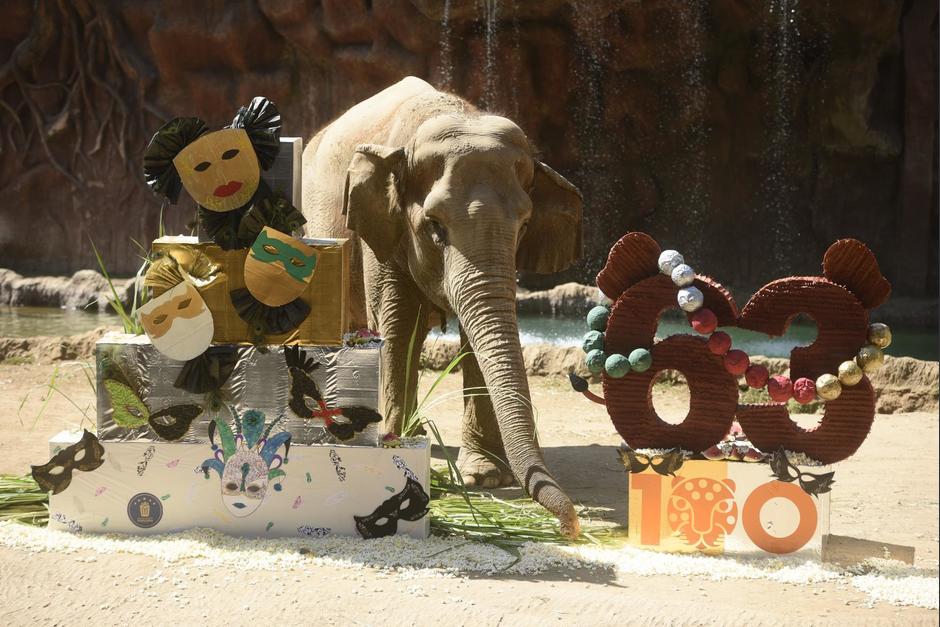 Trompita festej&oacute; su cumplea&ntilde;os este s&aacute;bado 17 de febrero.&nbsp;(Foto: Wilder L&oacute;pez/Soy502)