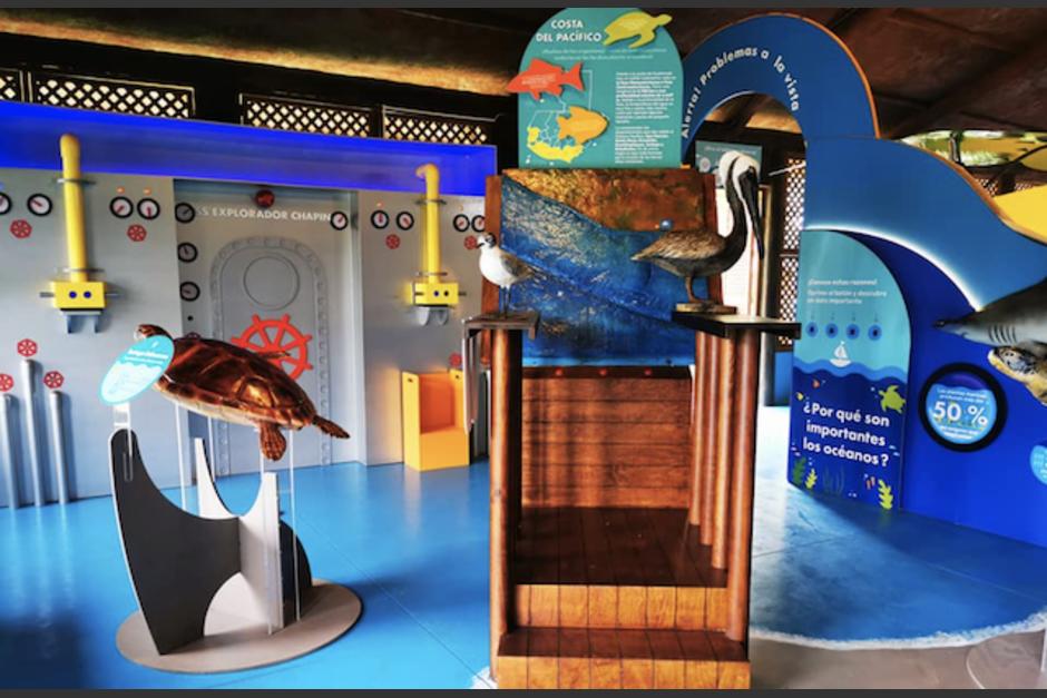 El Museo del Mar est&aacute; abierto de lunes a domingo. (Foto: Zoo La Aurora)