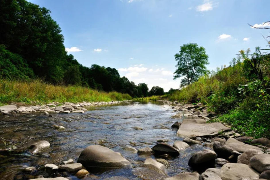El fallecido había desaparecido tras salir de su casa el 30 de julio y fue hallado en las aguas del río Cahabón. (Foto ilustrativa: Depositphotos)&nbsp;