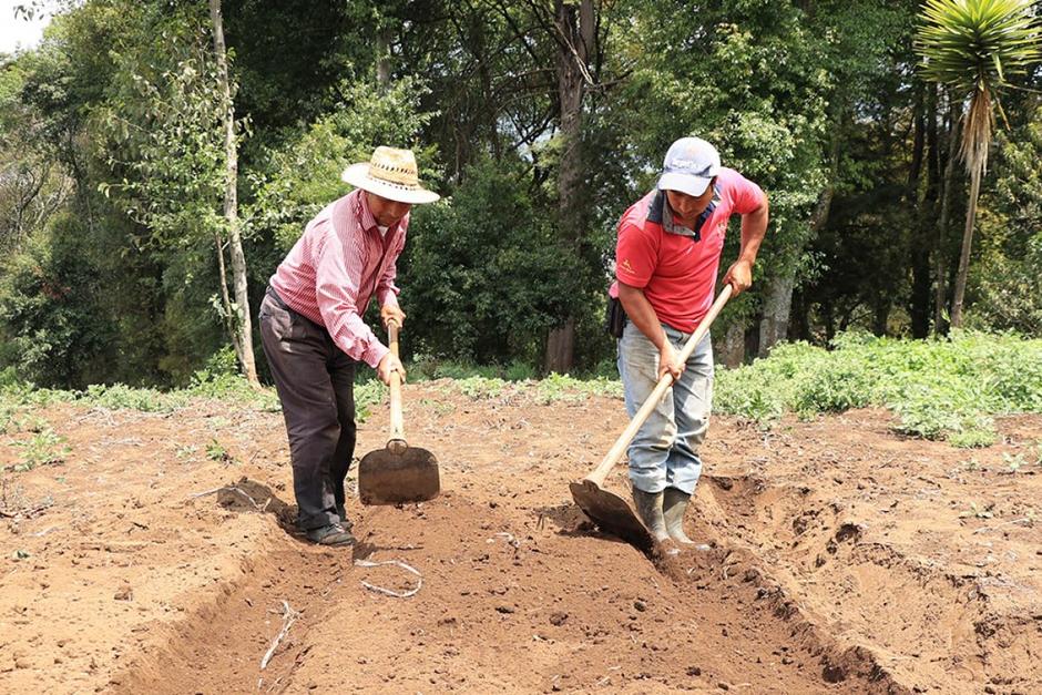 La disminución de lluvias en varios departamentos del país se mantendrá hasta el próximo viernes señala Insivumeh. (Foto: MAGA / Soy502)