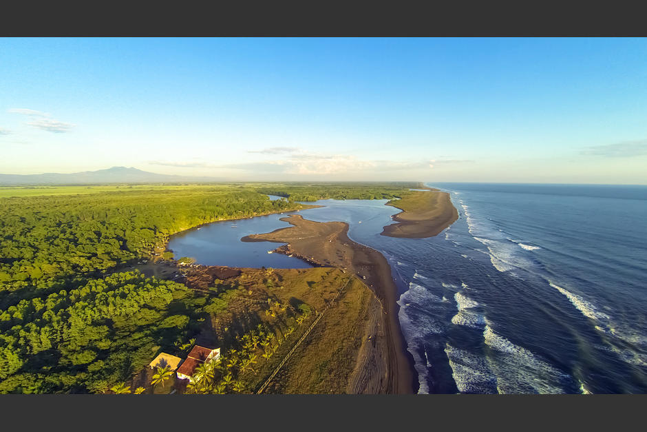 Los manglares se encuentran en contacto con costas oceánicas y mezclan agua dulce y salada. (Foto:&nbsp;Shutterstock)
