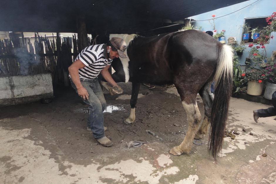 Óscar de León es el único herrador de caballos y bestias en el cantón San José. (Foto: Josué Ardeano/Colaborador)