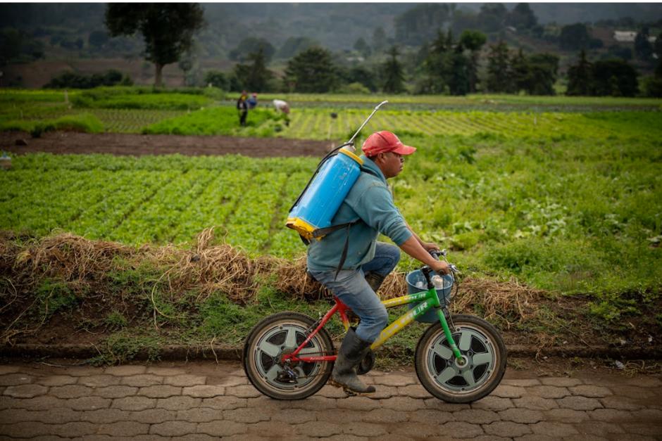 En diciembre de 2024, el Gobierno dio a conocer un programa diseñado para apoyar a pequeños y medianos agricultores, mediante el otorgamiento de créditos con condiciones favorables. (Foto: AGN)
