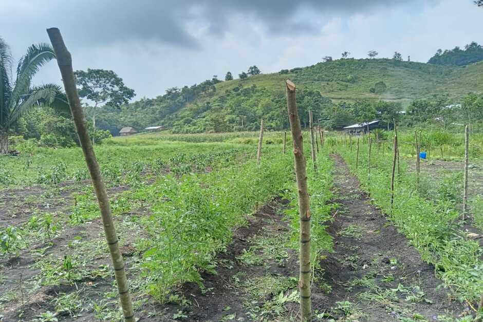 Esta alternativa se ha convertido en una manera perfecta de generar ingresos pasivos. (Foto: Carlos Peláez/Colaborador)