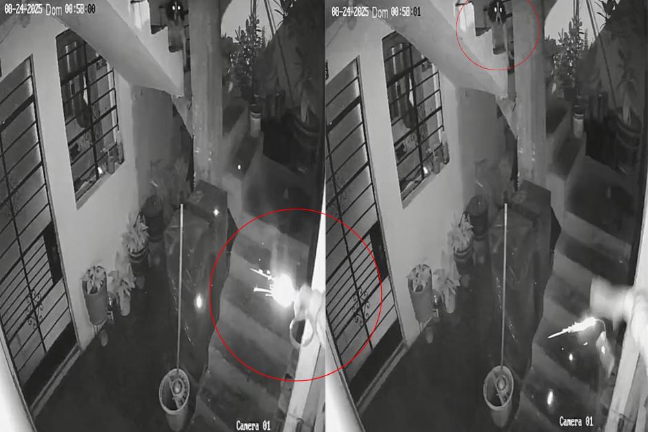 La mascota subía y bajaba las gradas intentando alertar a los propietarios de la vivienda. (Imagen: captura de pantalla)