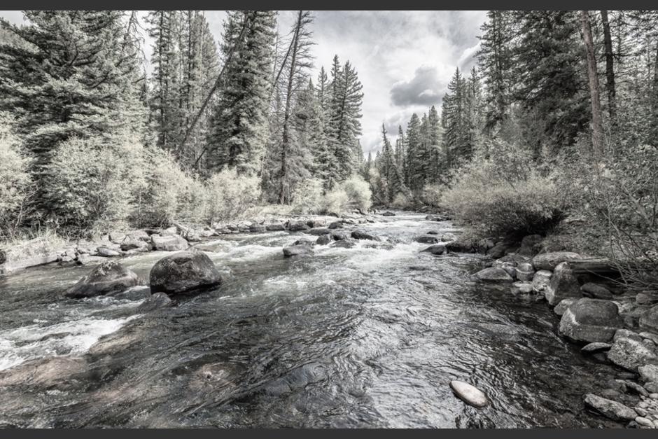 El adolescente iba a un servicio religioso. (Foto: Shutterstock)