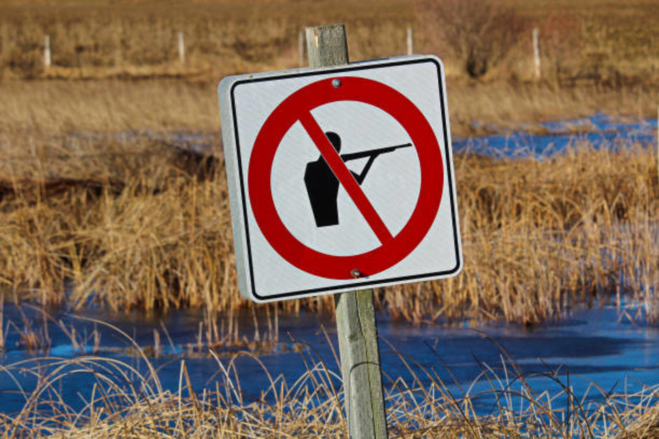 Los cazadores fueron detenidos en flagrancia en la Reserva de la Biosfera Maya, en Petén. (Foto ilustrativa: istock)