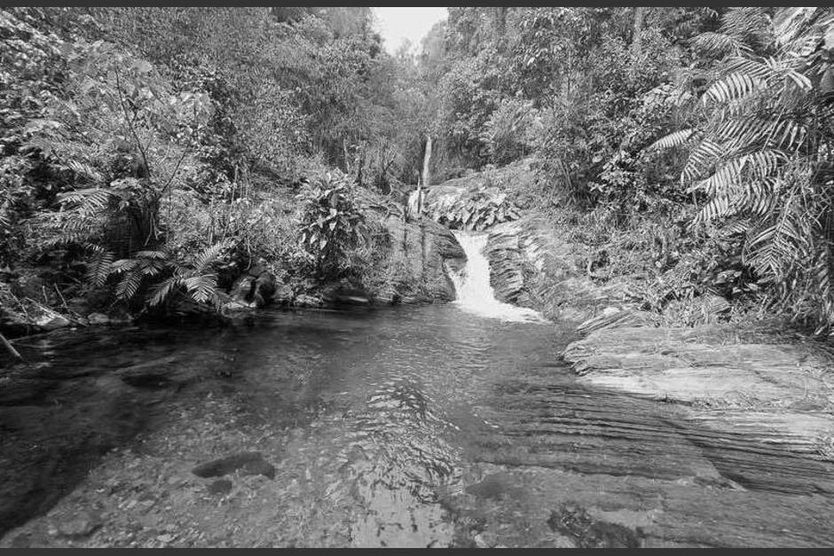 El cuerpo de la víctima presentaba varias heridas. (Foto: Shutterstock)