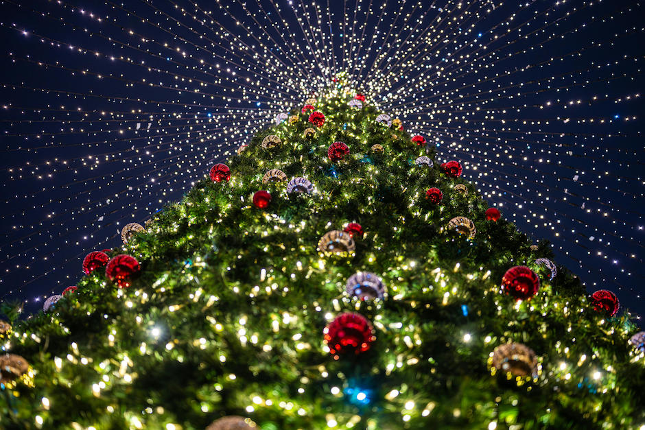 Estas actividades estar&aacute;n disponibles el 25 de diciembre de 2025. (Foto: Pexels)