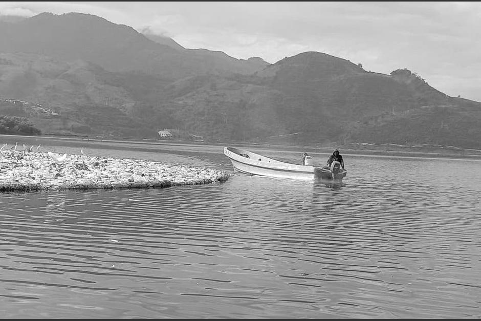 Localizan tres cuerpos flotando en el Lago de Amatil&aacute;n
