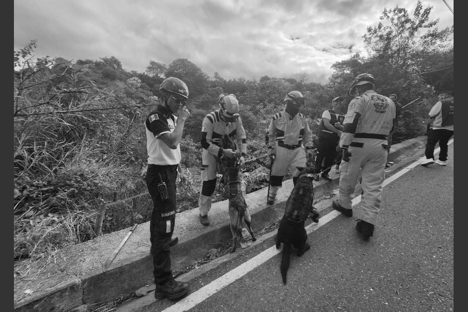 Este fue el hallazgo de los Bomberos Voluntarios en zona 25. (Foto: Bomberos Voluntarios)
