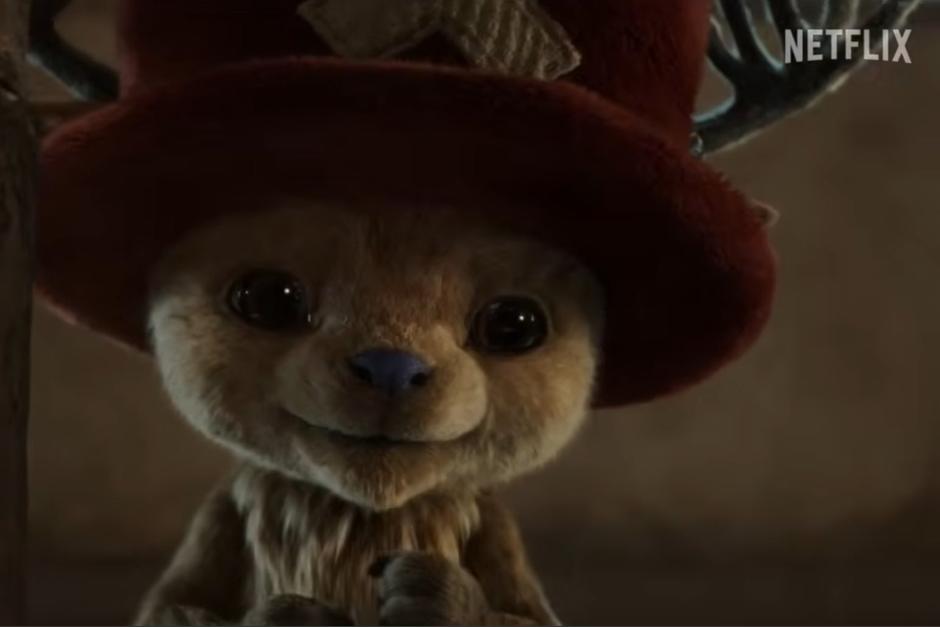 El tierno reno conoce por primera vez a los Sombrero de Paja. (Foto: X)