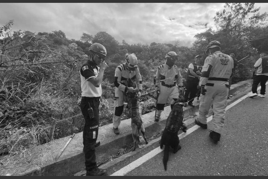 En total fueron hallados 12 cuerpos en la misma zona. (Foto: Bomberos Voluntarios)