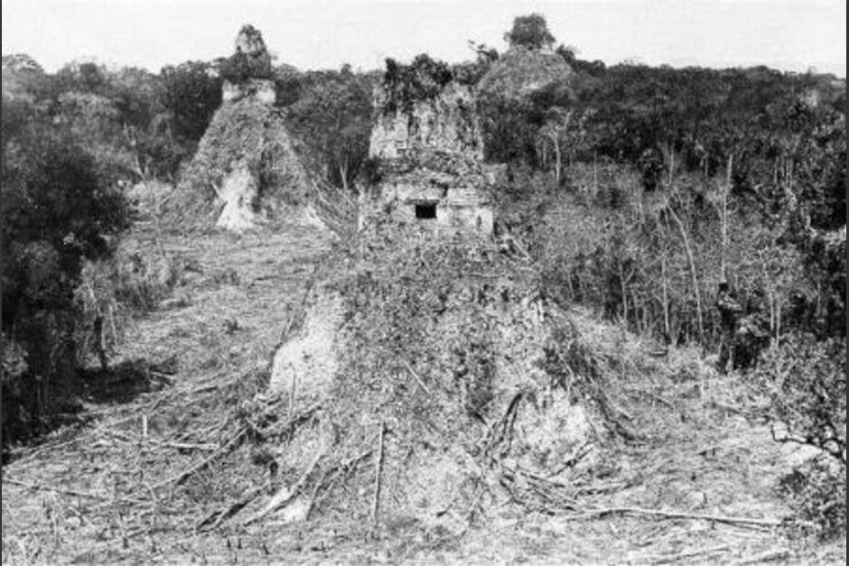 Al estar cubiertas por la vegetaci&oacute;n, solo emerg&iacute;an las cimas de los templos.&nbsp;&nbsp;(Foto: Cortes&iacute;a)